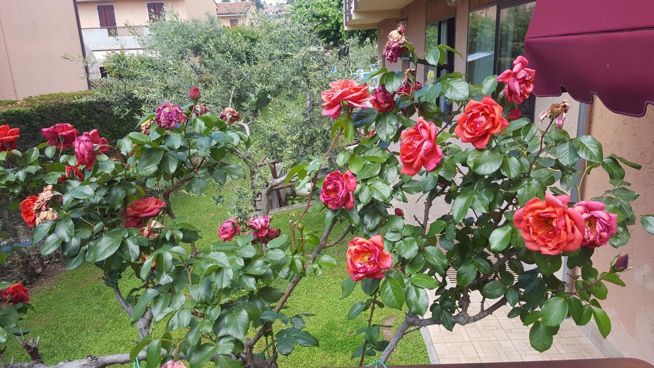 Hotel Andreis Cavaion Veronese Buitenkant foto